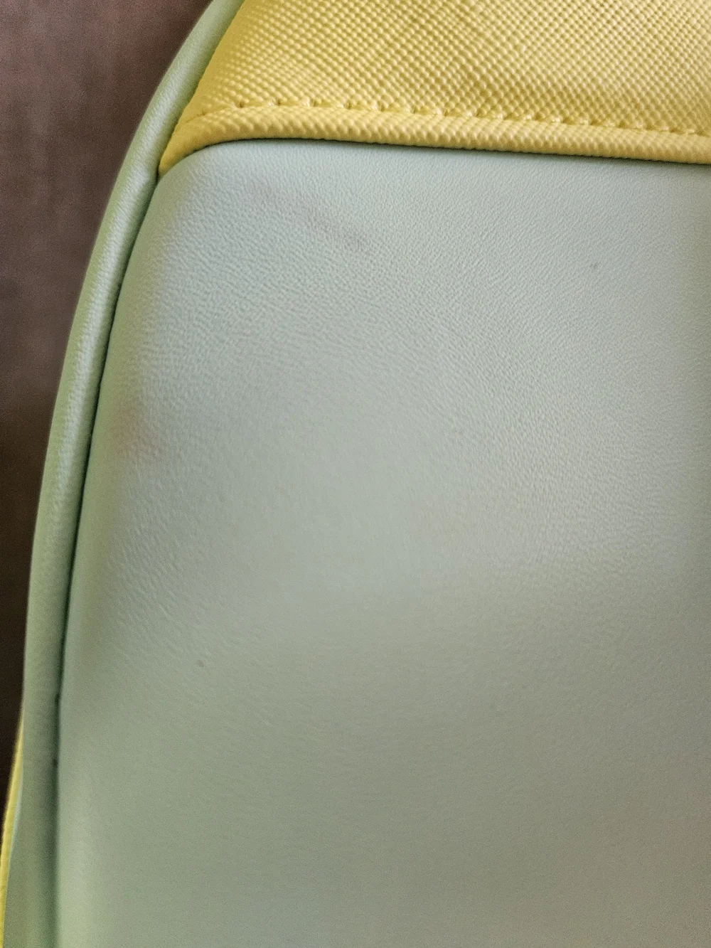 Loungefly Winnie the Pooh Mint & Yellow Loungefly Backpack-NWT